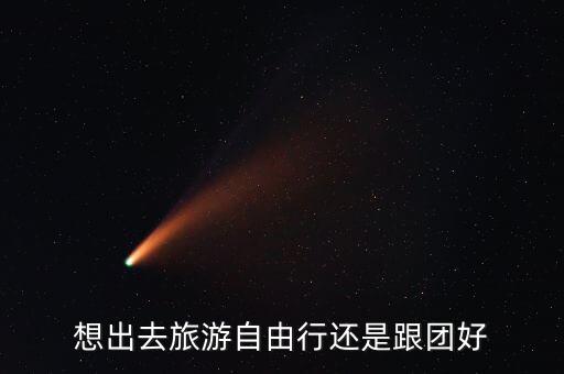 想出去旅游自由行还是跟团好