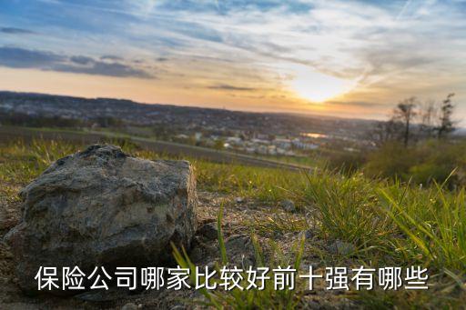 十大保险公司排名榜，求世界十大保险公司排名