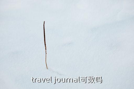 travel journal可数吗