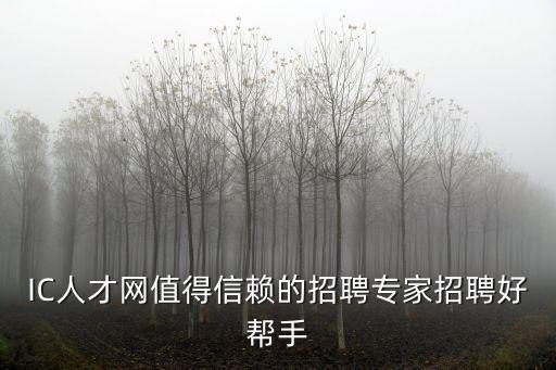 IC人才网值得信赖的招聘专家招聘好帮手