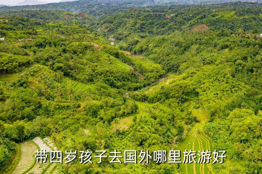 带四岁孩子去国外哪里旅游好
