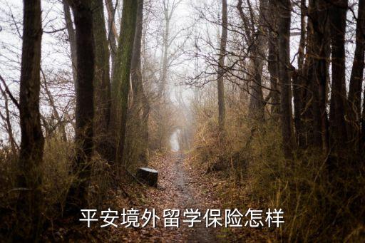 平安境外留学保险怎样