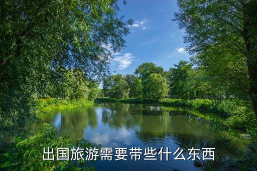 去国外旅游最适合带什么，出国旅游应该准备些什么