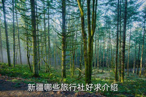 新疆哪些旅行社好求介绍
