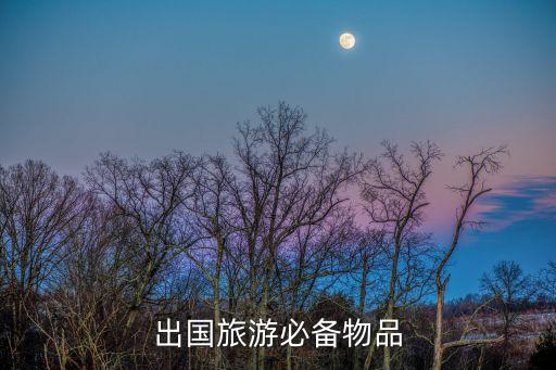 去国外旅游什么是重要的，境外旅游需要点些什么