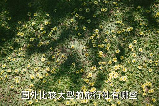 国外比较大型的旅行社有哪些