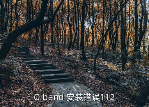 oppo手环健康app下载安装，健康管理软件下载