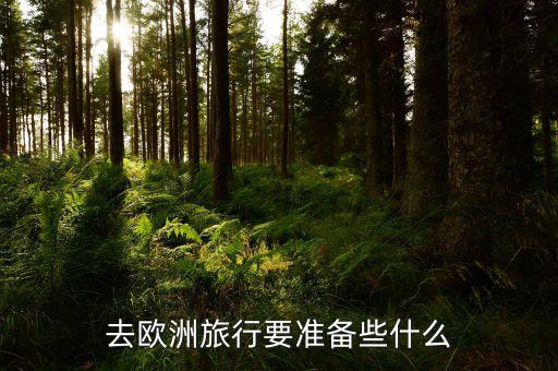 国外旅游主要看什么东西，境外旅游需要点些什么