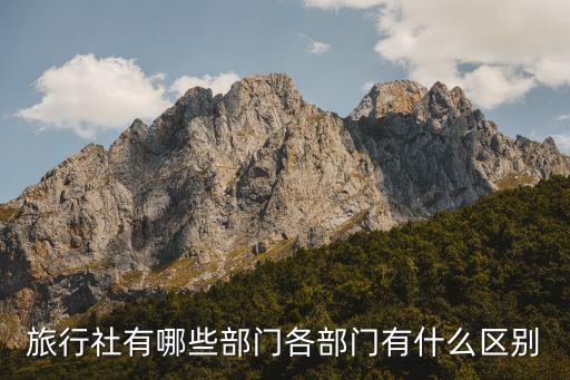 国际旅游公司有哪些职位名称，旅游公司职位名称有哪些