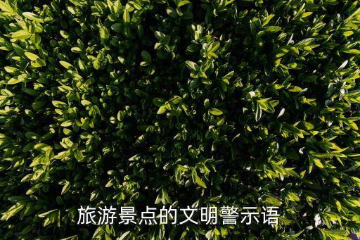 国外旅游景区中文警示标语有哪些，旅游景点的文明警示语