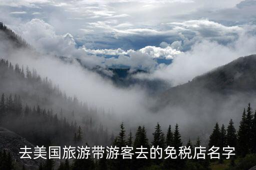 国外旅游免税店有哪些，去美国旅游带游客去的免税店名字