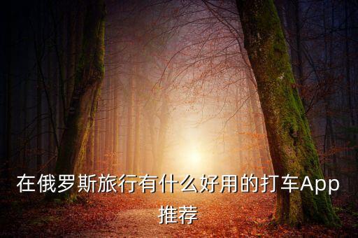 国外旅游用什么打车软件，有什么打车软件在国外也可以用的