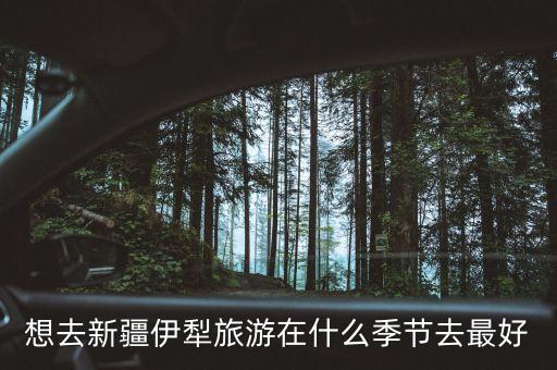 想去新疆伊犁旅游在什么季节去最好