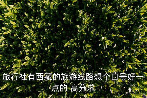 旅行社有西藏的旅游线路想个口号好一点的 高分求
