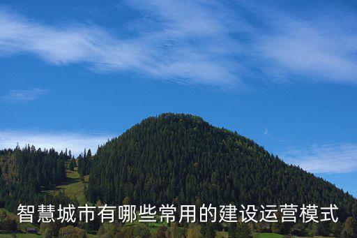 智慧城市有哪些常用的建设运营模式