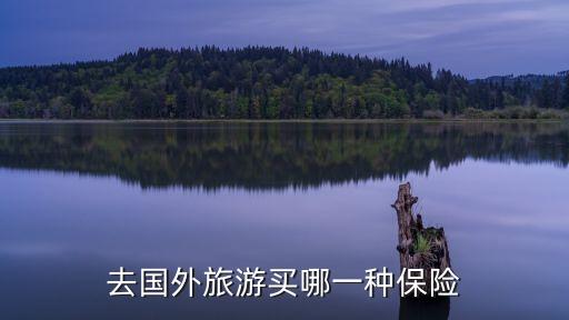 去国外旅游买哪一种保险