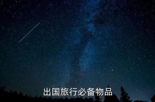 去国外旅游一般买什么东西，出国旅行必备物品