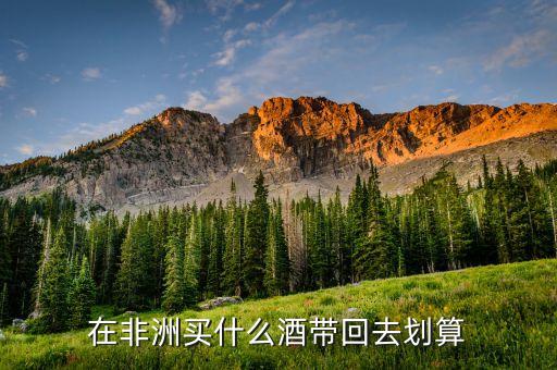 在非洲买什么酒带回去划算