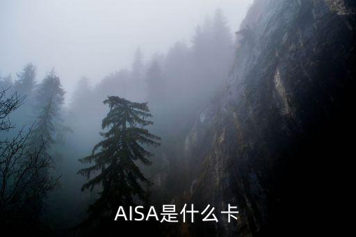 国外旅游电子支付卡是什么，电子支付卡是什么