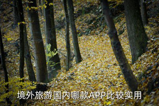 境外旅游国内哪款APP比较实用
