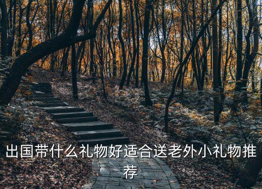 国外旅游出差要带什么，去法国出差要带什么衣服
