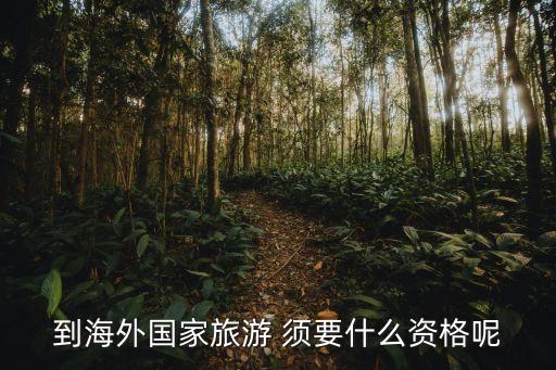 到海外国家旅游 须要什么资格呢
