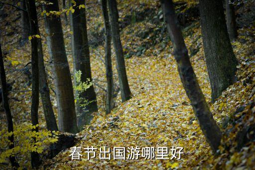 春节出国游哪里好