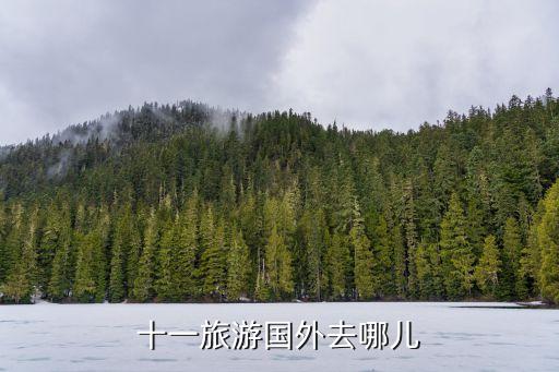 十一旅游国外去哪儿