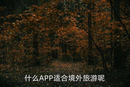 什么APP适合境外旅游呢
