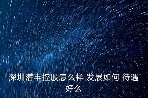 深圳潜丰控股怎么样 发展如何 待遇好么