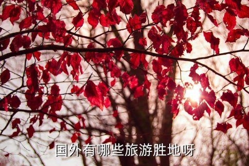 国外有哪些旅游胜地呀