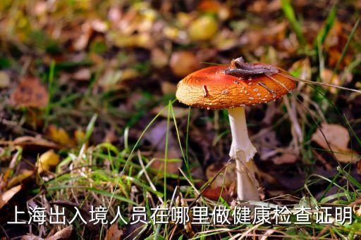 上海出入境人员在哪里做健康检查证明