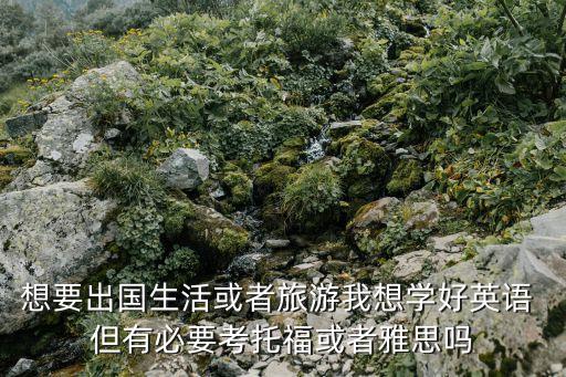国外旅游需要什么英语证书，如果要出国想在国外生活要英语几级或者要考什么证