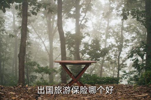 出国旅游保险哪个好