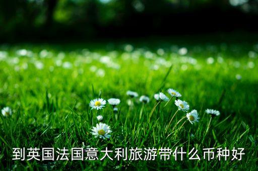 到英国法国意大利旅游带什么币种好