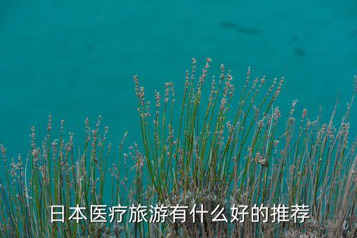 日本医疗旅游有什么好的推荐