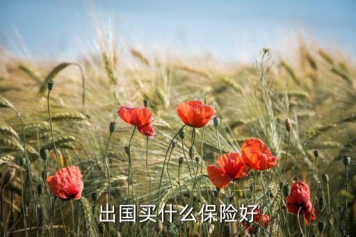 出国买什么保险好