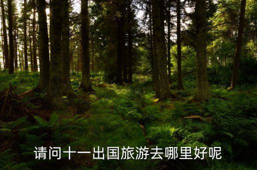 十一国外旅游去哪里，十一出国旅游去哪好呢