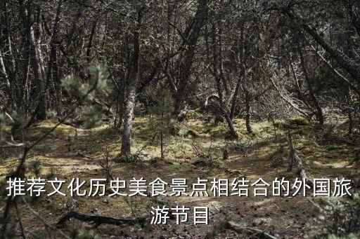 推荐文化历史美食景点相结合的外国旅游节目