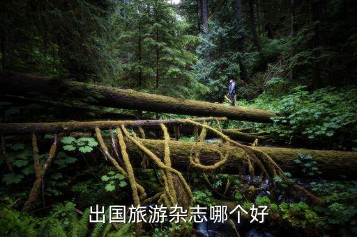 出国旅游杂志哪个好