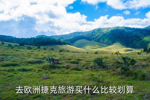 要去国外旅游买什么最划算，去日本旅游买什么最划算