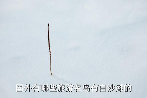 国外的旅游岛叫什么，国外岛屿漂亮的有哪些
