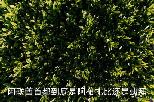 阿联酋首都到底是阿布扎比还是迪拜