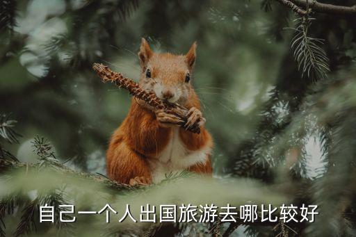 自己一个人出国旅游去哪比较好
