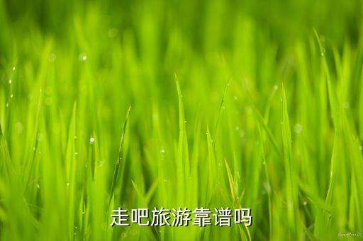 走啦国际旅行社有限公司可靠吗，走吧旅游靠谱吗