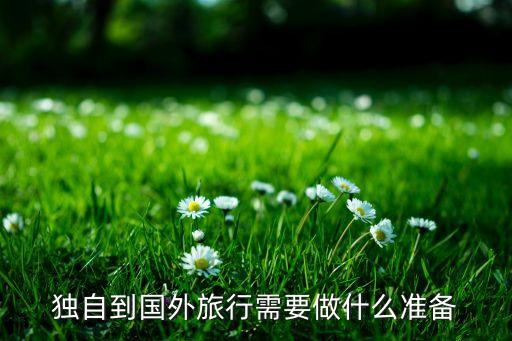 独自到国外旅行需要做什么准备