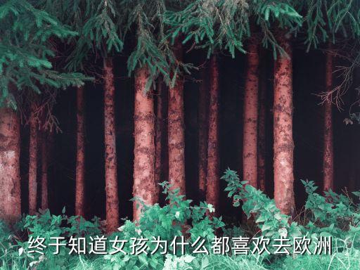 终于知道女孩为什么都喜欢去欧洲