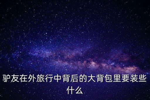 国外旅游一个背包带什么，去国外玩背包里要有什么准备物品