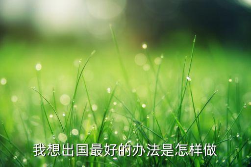 去国外旅游最好方法是什么，国外旅游怎样去