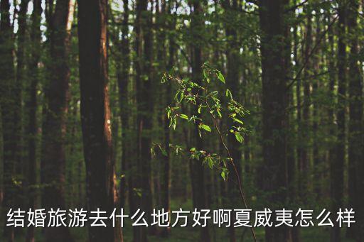 结完婚去哪里旅游国外，结婚度蜜月去国外哪里最好呢